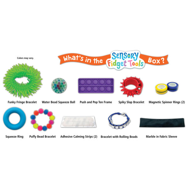 Sensory Fidget Tools, 12 Pieces