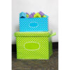 Lime Polka Dots Storage Box, Pack of 2