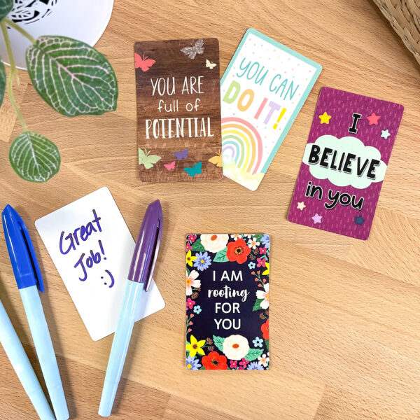 Encouragement Cards, 2-3-16" x 3-1-2", 42 Per Pack, 6 Packs