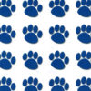 Blue Paw Prints Stickers, 1" Square, 120 Per Pack, 12 Packs