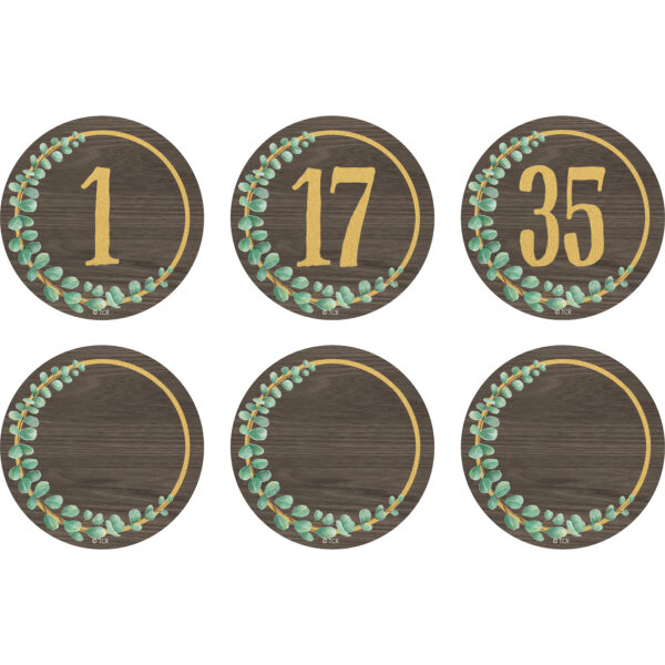 Eucalyptus Numbers Magnetic Accents, 2-1-4", 42 Per Pack, 3 Packs