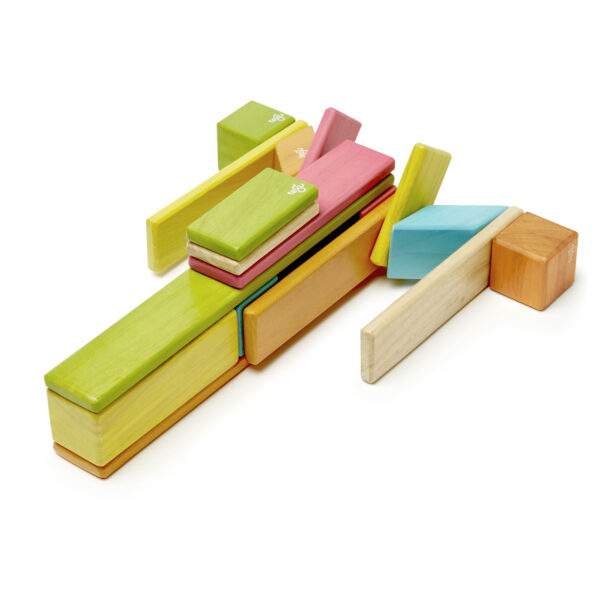 Magnetic Wooden Blocks, Tints, 24-Pieces