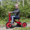 Viking Tricycle, Medium