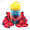 Ladybugs Counting Set, Pack of 22