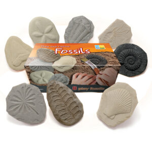 Let's Investigate Fossil Stone, Pack of 8