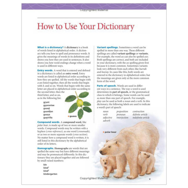 Children's Dictionary