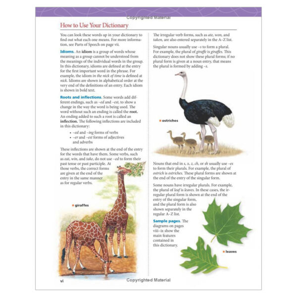 Children's Dictionary