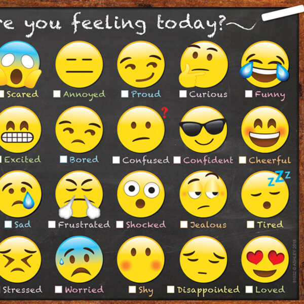 Smart Poly Chart, 13" x 19", Emotions Icon How Are You Feeling, Pack of 10