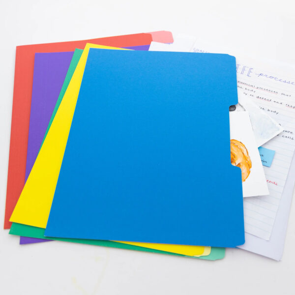 1-3 Cut Letter Size Color File Folder, Box of 100