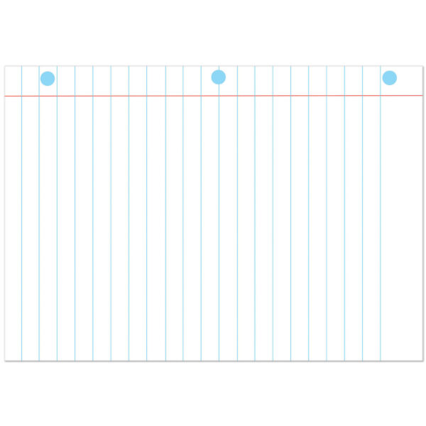 Magnetic Notebook Page, 8-1-2" x 11", Pack of 6