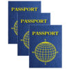 Blank Passports, 12 Per Pack, 3 Packs