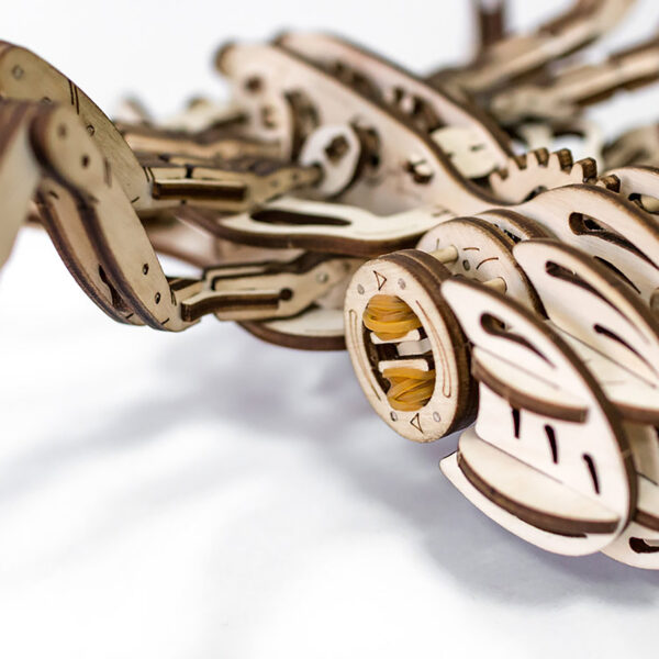 Spider 3D Wooden STEM Construction Kit