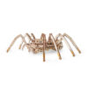 Spider 3D Wooden STEM Construction Kit
