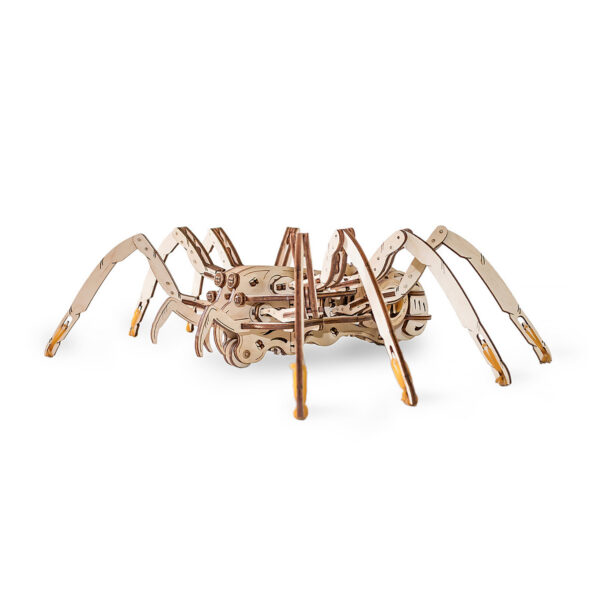 Spider 3D Wooden STEM Construction Kit