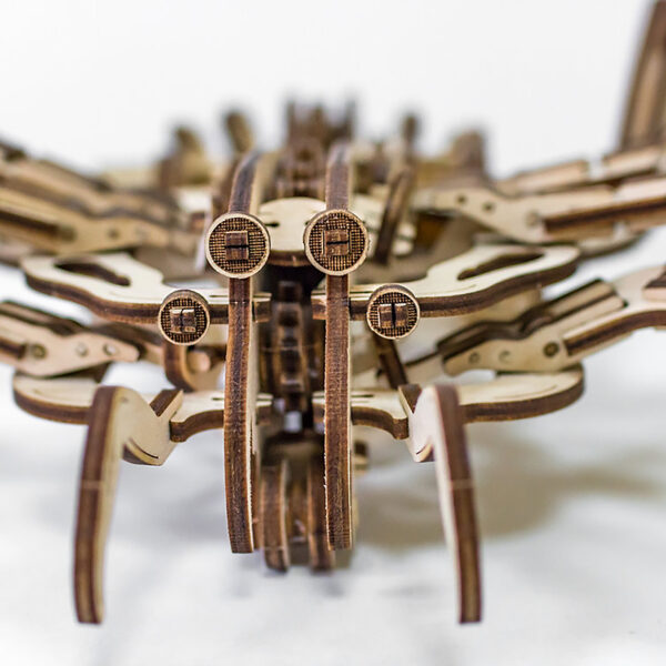 Spider 3D Wooden STEM Construction Kit