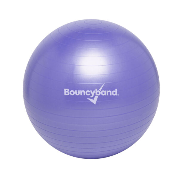 ERSBBAWBS55PU_3.jpg Balance Ball, 55cm, Purple