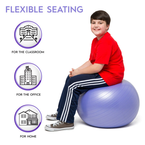 BouncyBand 55CM Lifestyle 4-Purple Balance Ball, 55cm, Purple