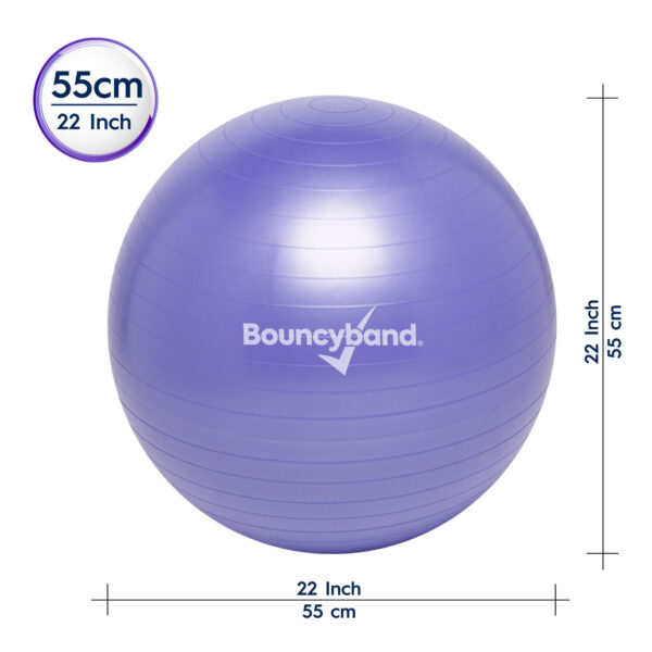 BouncyBand 45cm Size Blue Balance Ball, 55cm, Purple