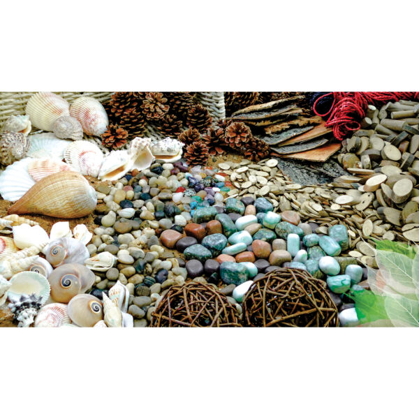 Naturals - Exploration - Over 300 Real, Natural Materials