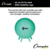 FitPro Ball with Stability Legs, 42cm