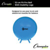 FitPro Ball with Stability Legs, 55cm