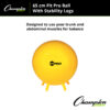 FitPro Ball with Stability Legs, 65cm