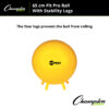 FitPro Ball with Stability Legs, 65cm