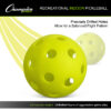 Recreational Indoor Pickleball Set, 6 Per Set, 2 Sets