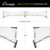 Pickleball Net