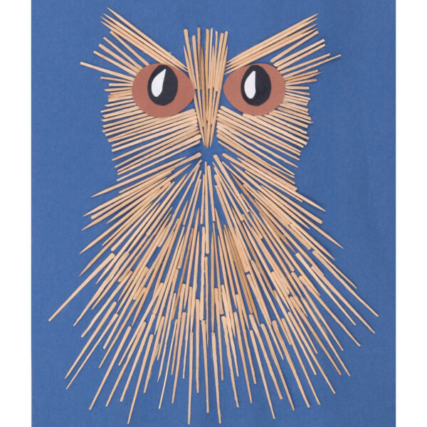 Natural Toothpicks, Flat, 2.25", 2500 Per Pack, 6 Packs