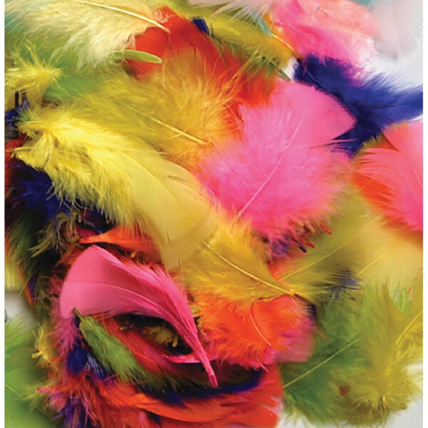 Turkey Plumage Feathers, Assorted Bright Hues, Assorted Sizes, 14 grams Per Pack, 12 Packs