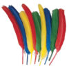 Quill Feathers, Assorted Colors, 12", 24 Per Pack, 3 Packs