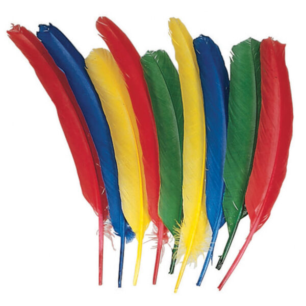Quill Feathers, Assorted Colors, 12", 24 Per Pack, 3 Packs