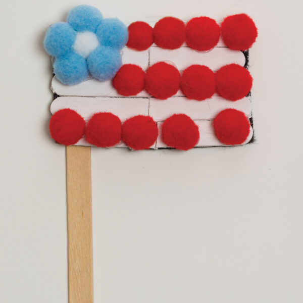 ERSCK-811030-6_4.jpg Pom Pons, Color Splash, 1", 100 Per Pack, 6 Packs