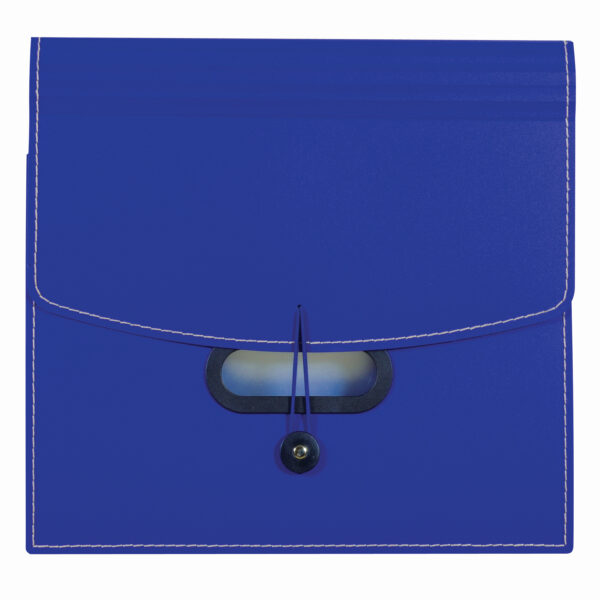 13-Pocket Ladder Expanding File, Blue