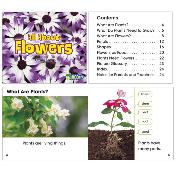 All About Plants Book Set, Set of 5