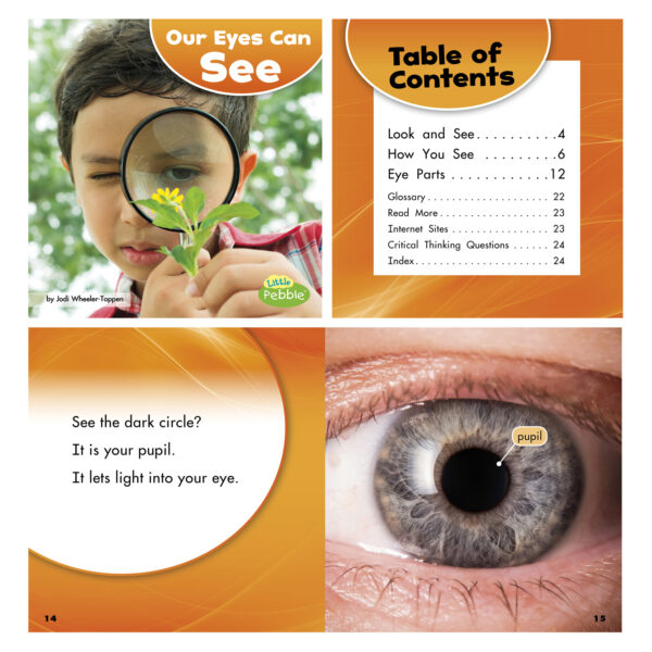 Our Amazing Senses, Set of 5 books