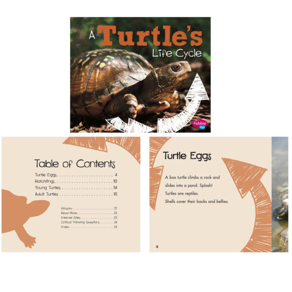 Explore Life Cycles, Set of 6 books