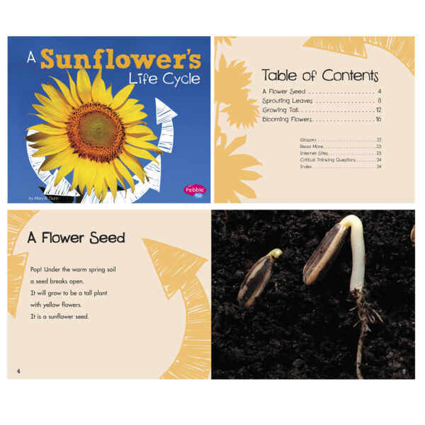 Explore Life Cycles, Set of 6 books