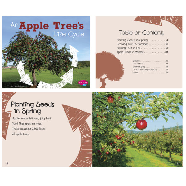 Explore Life Cycles, Set of 6 books