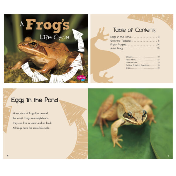 Explore Life Cycles, Set of 6 books