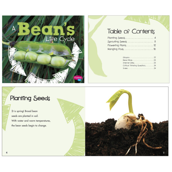 Explore Life Cycles, Set of 6 books