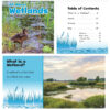 All About Wetlands Habitats Book Set, Set of 8