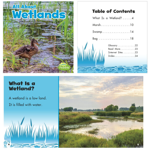 All About Wetlands Habitats Book Set, Set of 8