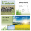 All About Grasslands Habitats Book Set, Set of 8