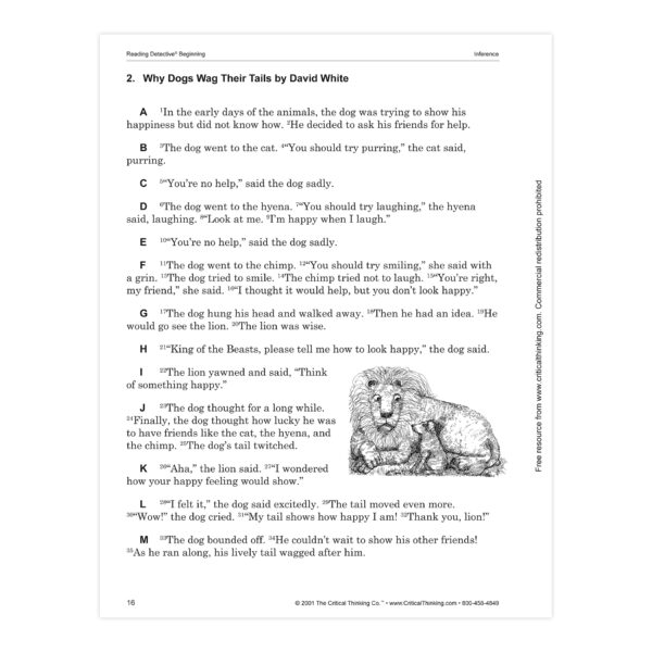 Reading Detective Beginning, Grade 3-4