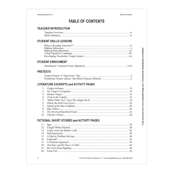 Reading Detective Book, A1, Grade 5-6