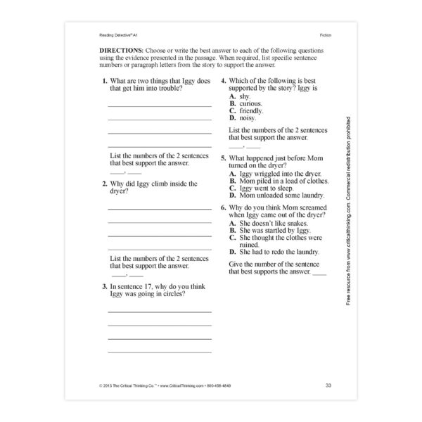 Reading Detective Book, A1, Grade 5-6