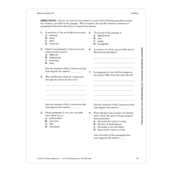 Reading Detective B1, Grades: 7-8