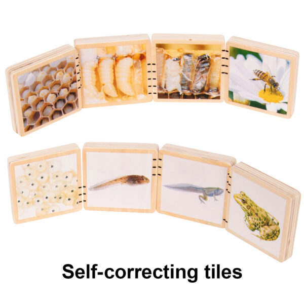 Wooden Lifecycle Tiles